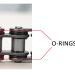 o rings of the chain